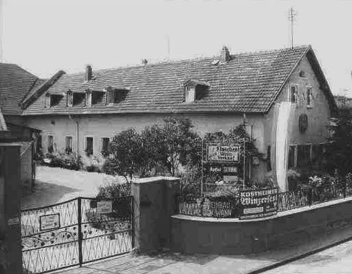 Weingut Wann